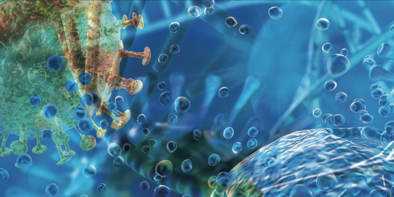 Electron microscope view of a virus